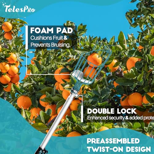 Telespro One-Piece Fruit Picker Basket for Easy Twisting onto Standard Acme Extension Poles – Perfect for Apples, Oranges, and Avocados