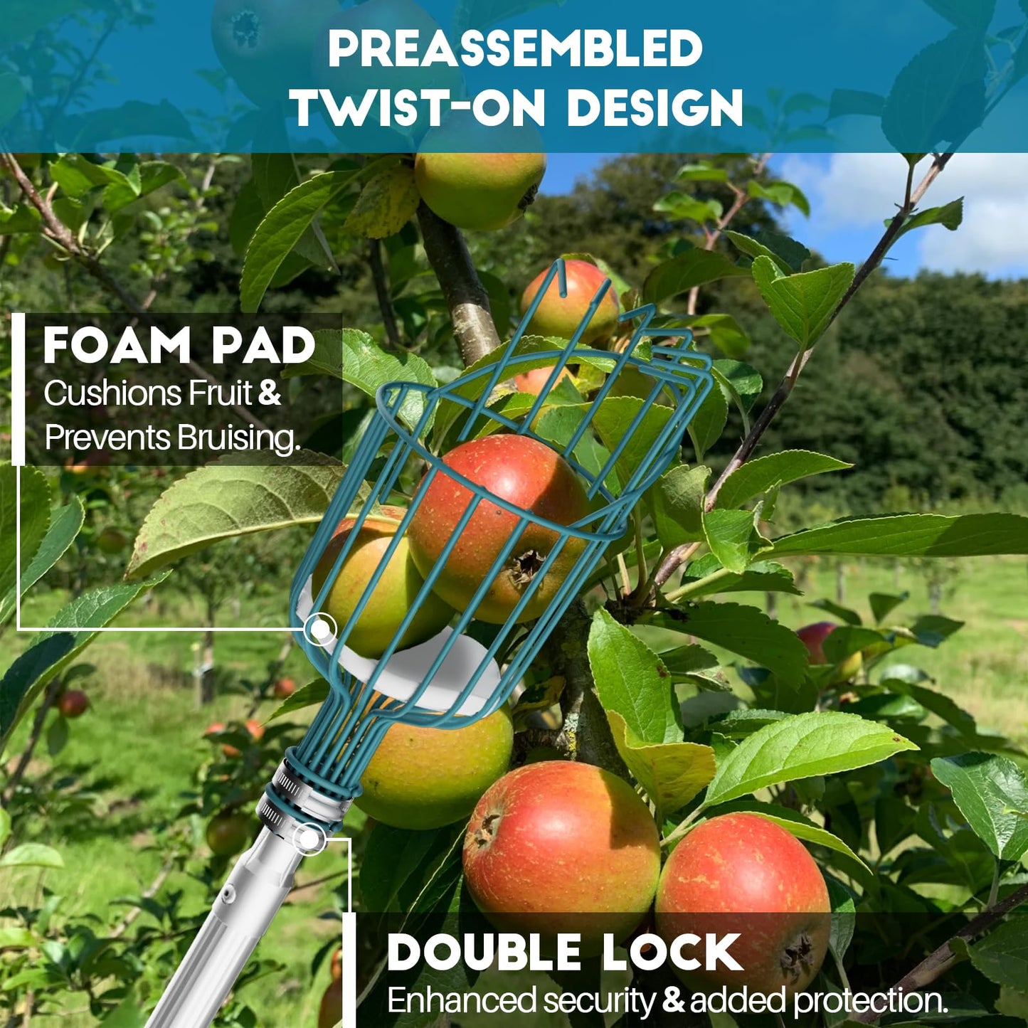 Telespro 24FT Telescoping Fruit Picker - 30+ Foot Reach Lightweight Aluminum Extension Pole with Twist-On Apple Basket - Durable Fruit Picking Tool