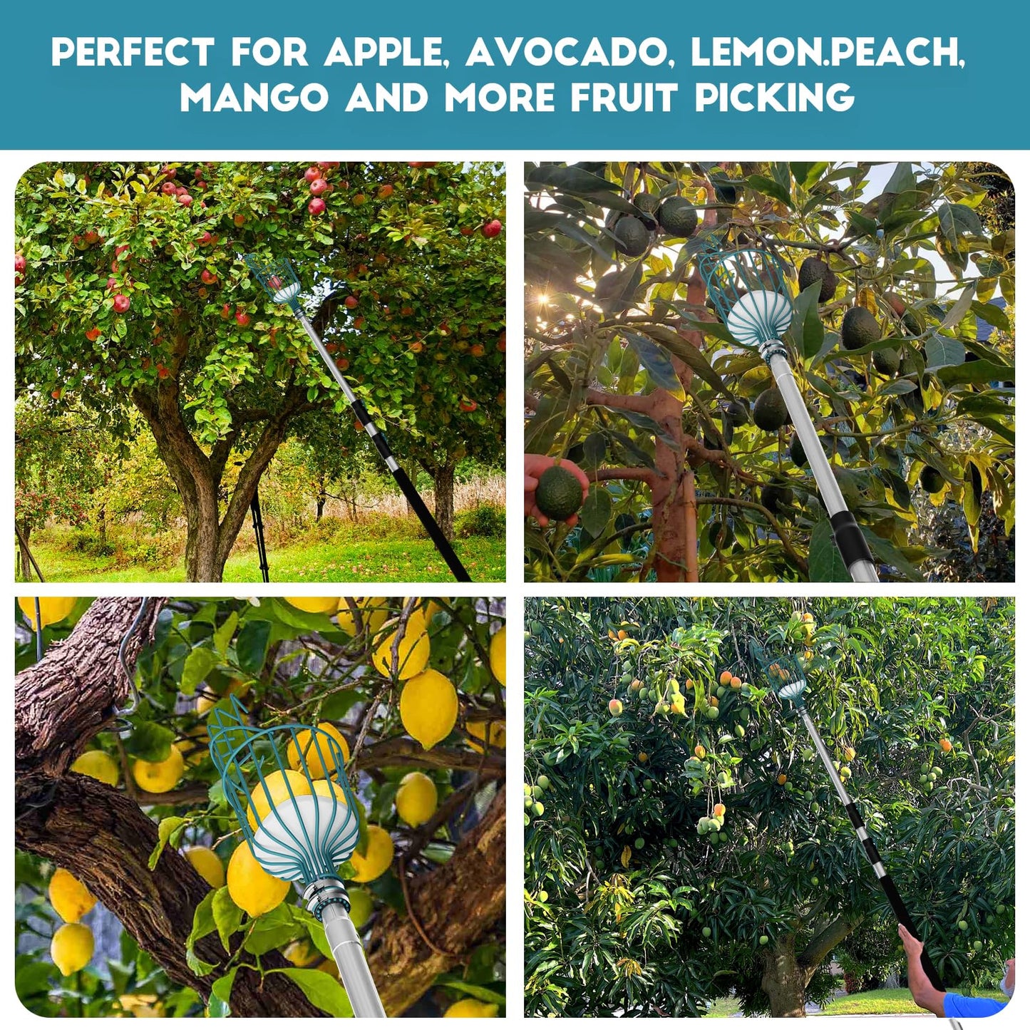 Telespro 24FT Telescoping Fruit Picker - 30+ Foot Reach Lightweight Aluminum Extension Pole with Twist-On Apple Basket - Durable Fruit Picking Tool