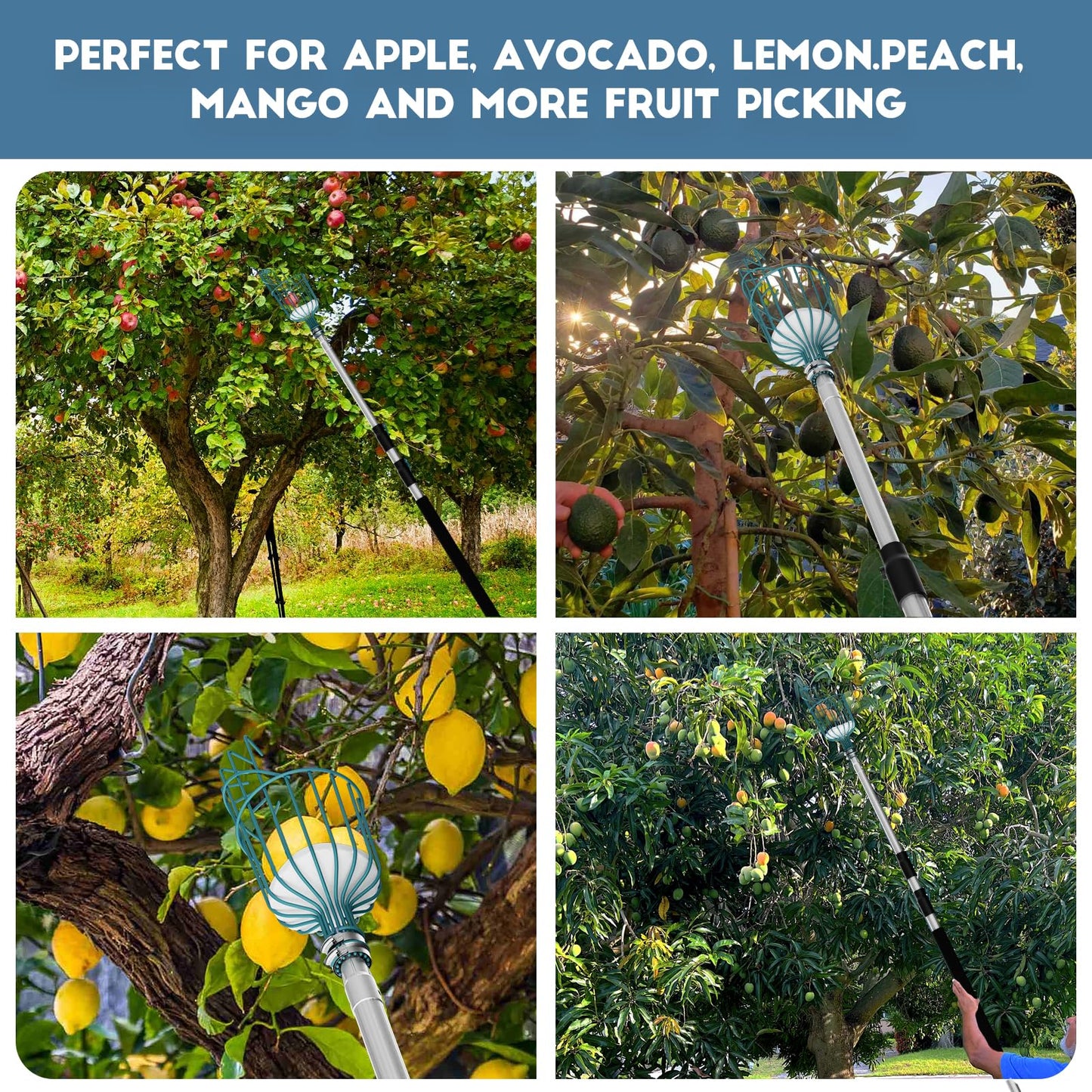 Telespro 12FT Telescoping Fruit Picker – 20+ Foot Reach Lightweight Aluminum Extension Pole with Easy Twist-On Apple Basket – Durable Fruit Picking Tool